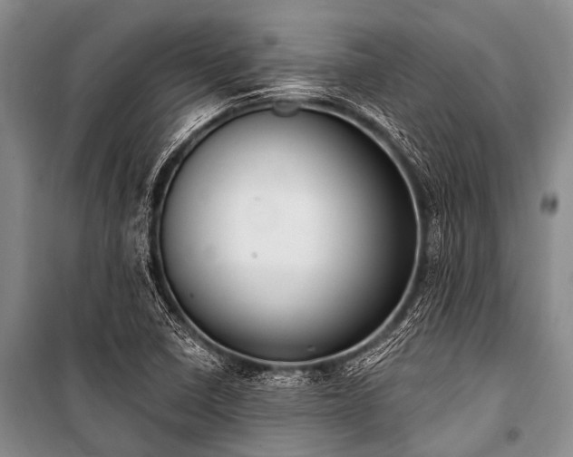 X0000101151410200806270932