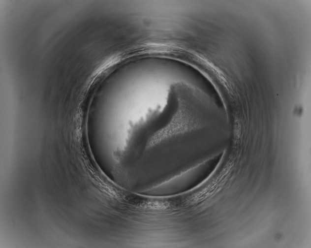 X0000101151411200806270932