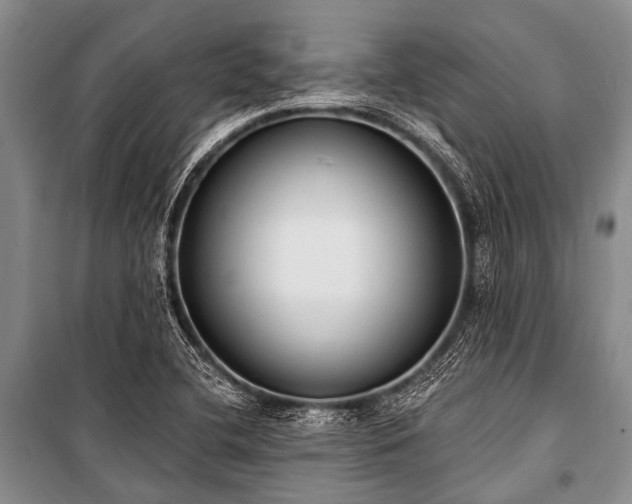 X0000101151412200806270932