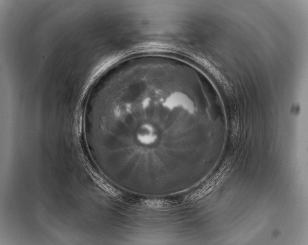 X0000101151413200806270932
