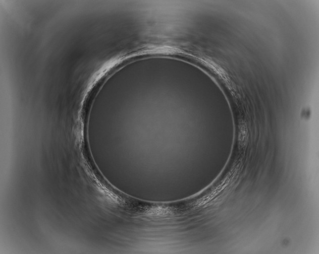 X0000101151414200806270933