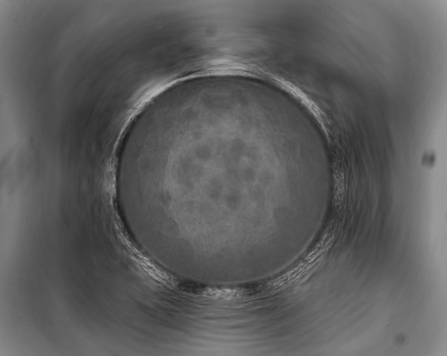 X0000101151415200806270933