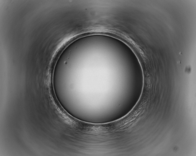 X0000101151416200806270933