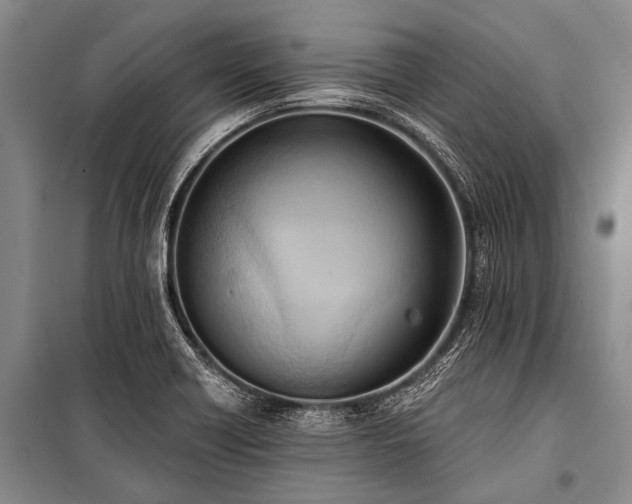 X0000101151418200806270933