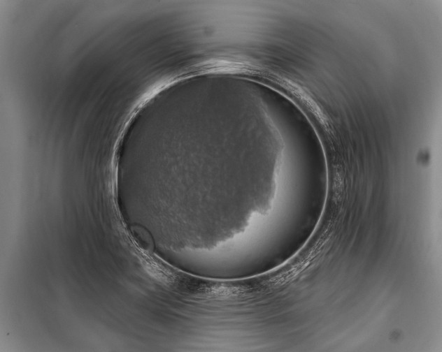 X0000101151419200806270933