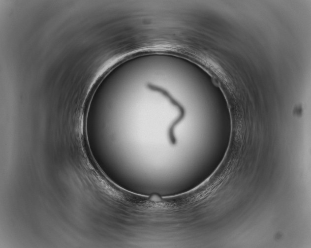 X0000101151420200806270933