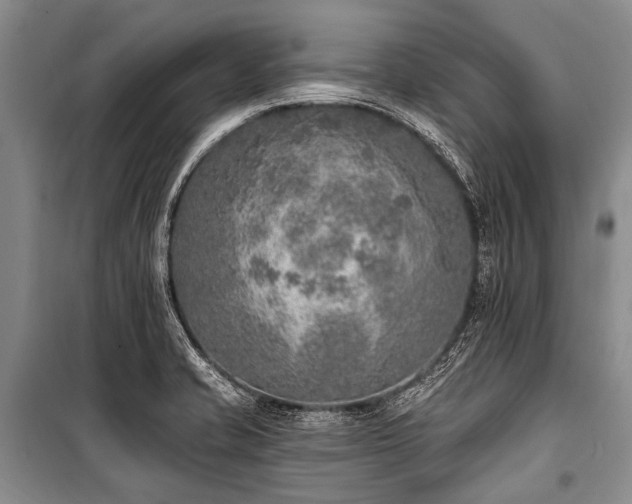 X0000101151421200806270933