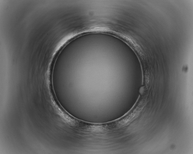 X0000101151422200806270933