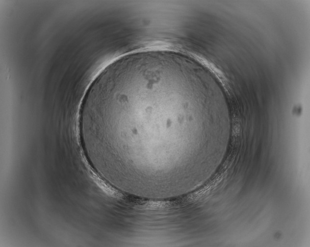 X0000101151423200806270933