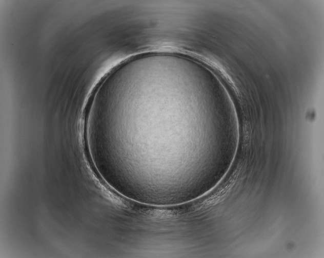 X0000101151424200806270933