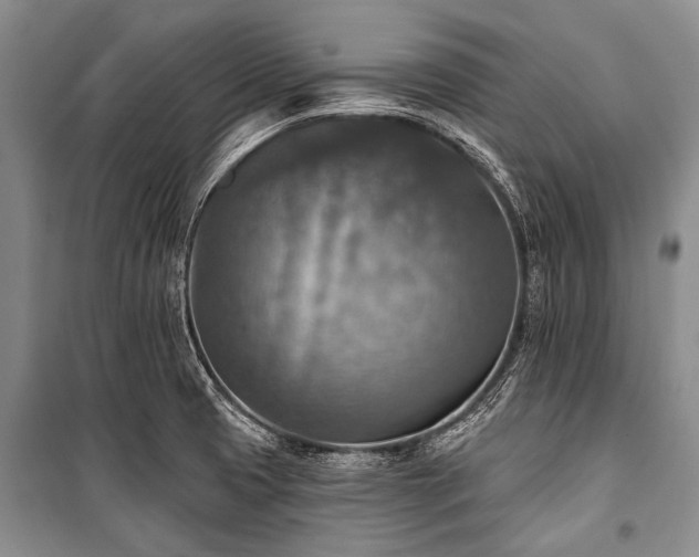 X0000101151425200806270933