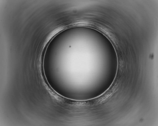 X0000101151426200806270933