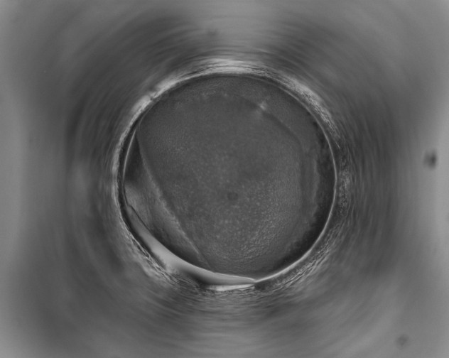 X0000101151427200806270933