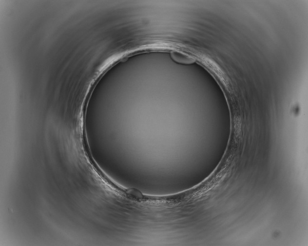 X0000101151428200806270933