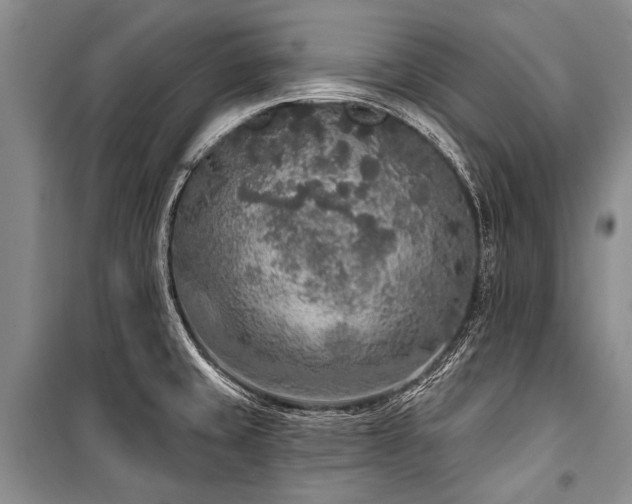 X0000101151429200806270933