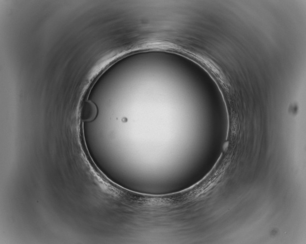 X0000101151430200806270933