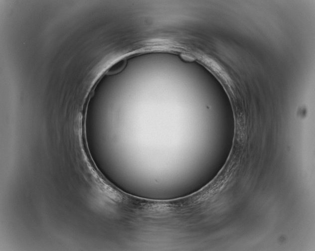 X0000101151431200806270933