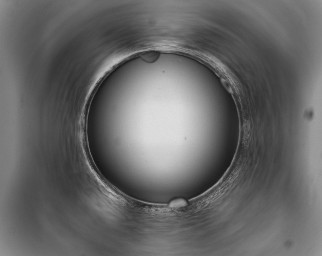 X0000101151432200806270933