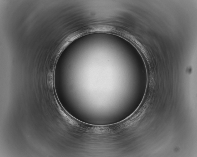 X0000101151433200806270933