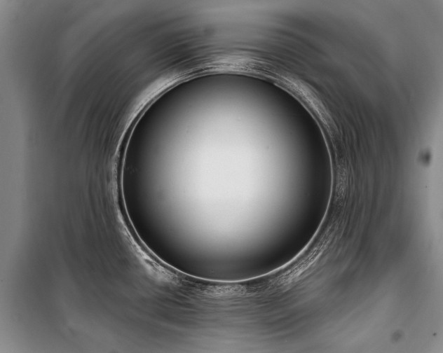 X0000101151434200806270933