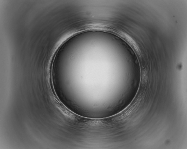 X0000101151435200806270933