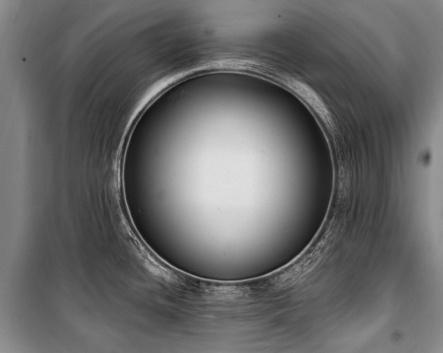 X0000101151436200806270933
