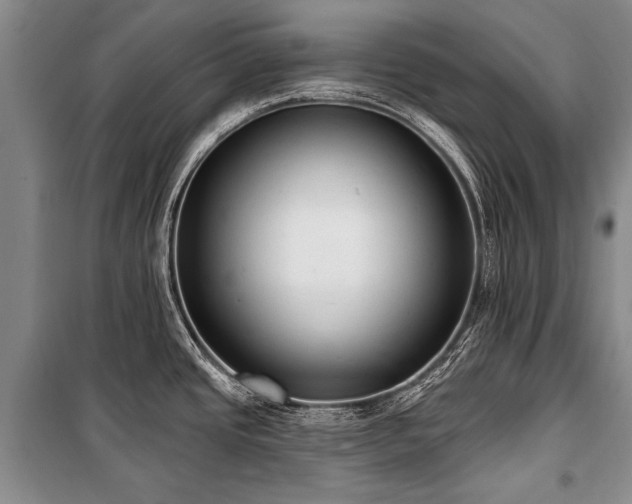 X0000101151437200806270933