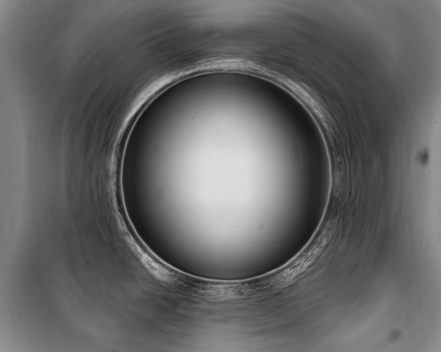 X0000101151438200806270933