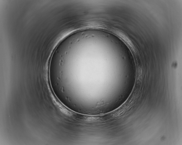 X0000101151439200806270933