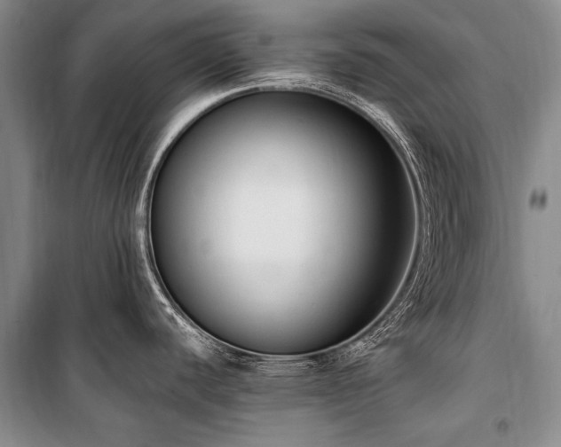 X0000101151440200806270933