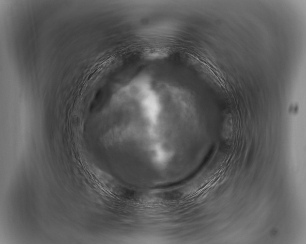 X0000101151441200806270932