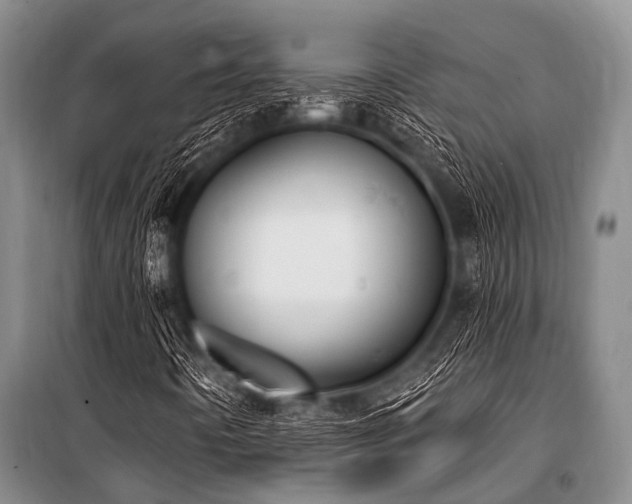 X0000101151442200806270932