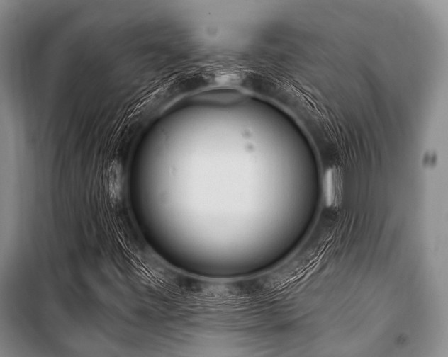 X0000101151443200806270932