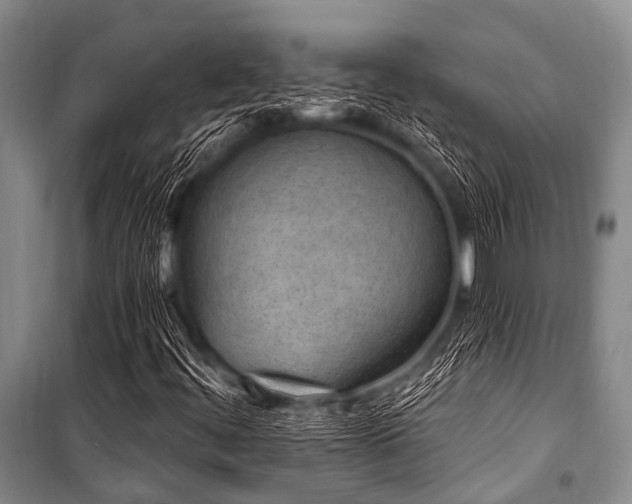 X0000101151444200806270932