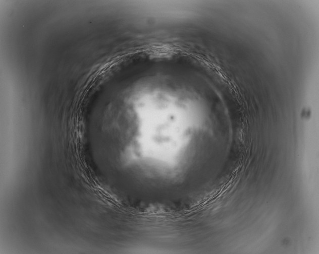 X0000101151445200806270932