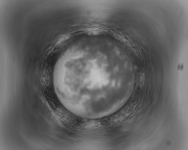 X0000101151446200806270932
