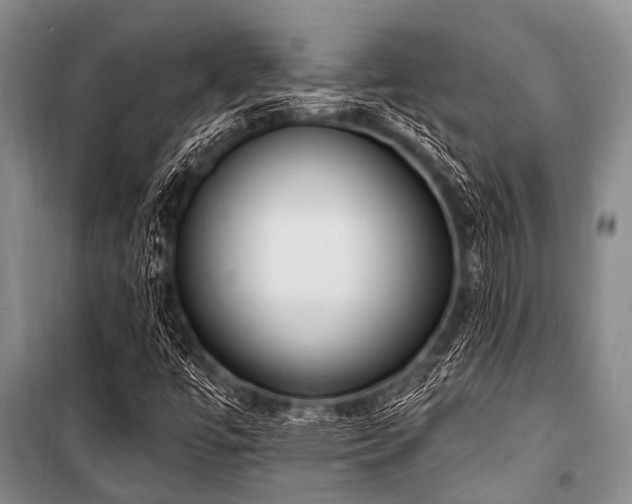 X0000101151447200806270932