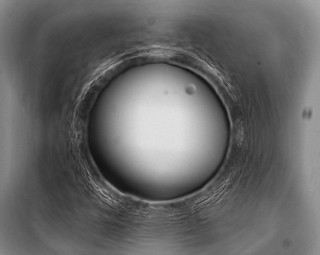 X0000101151448200806270932