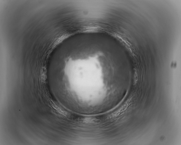 X0000101151449200806270932