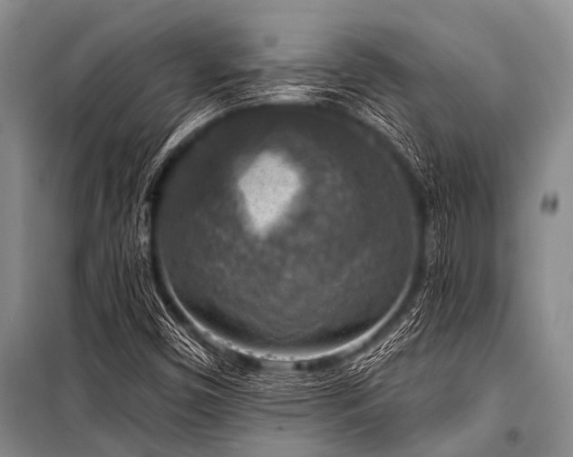 X0000101151450200806270932