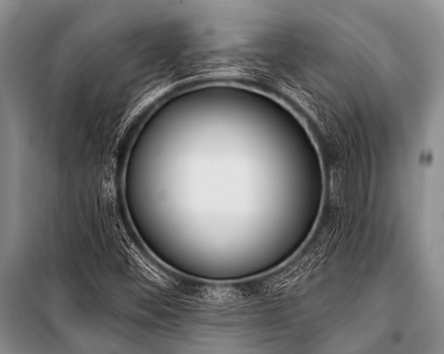 X0000101151452200806270932
