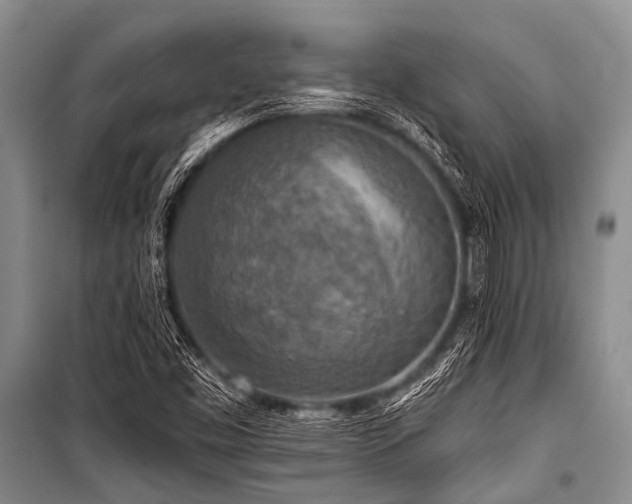 X0000101151453200806270932