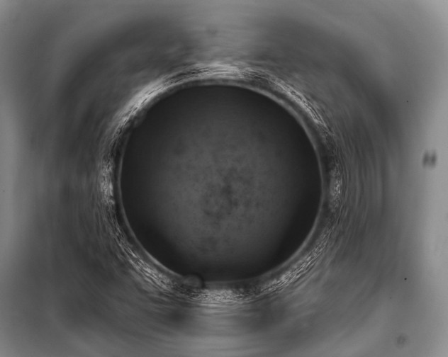 X0000101151455200806270932