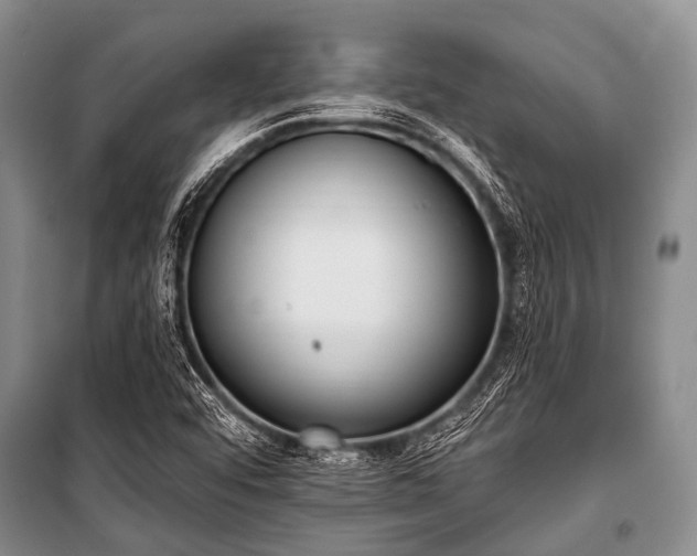 X0000101151456200806270932