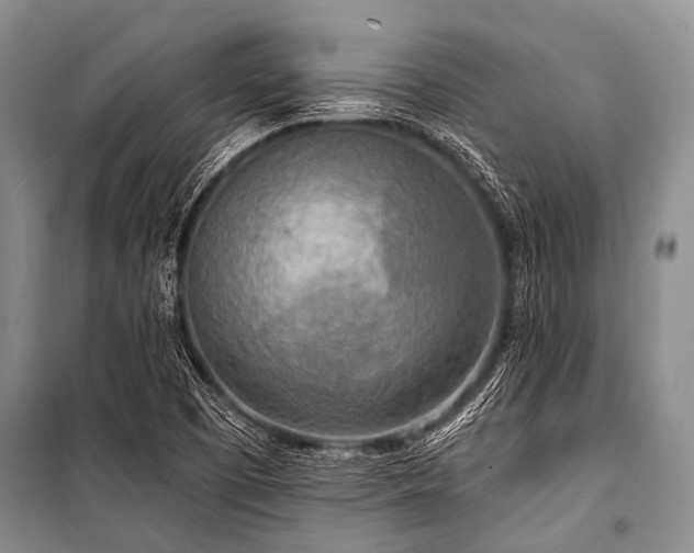 X0000101151457200806270932