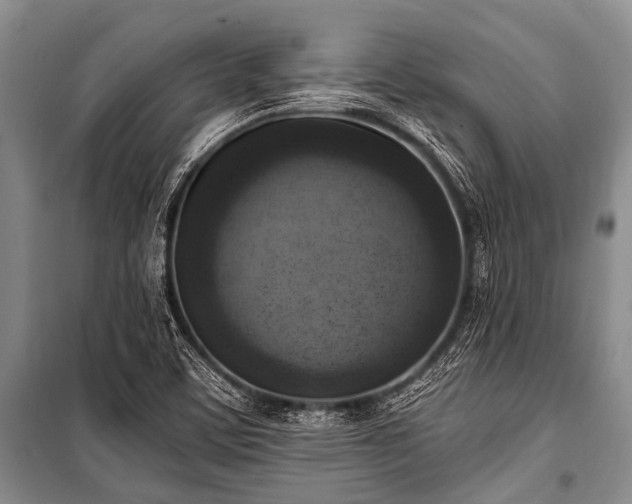 X0000101151459200806270932