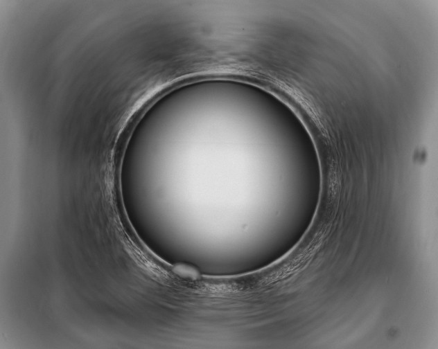 X0000101151460200806270932