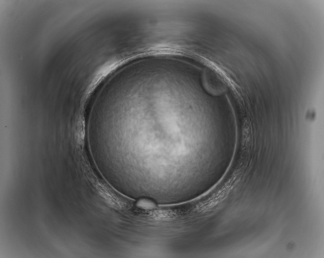 X0000101151461200806270932