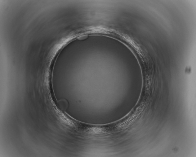 X0000101151463200806270932