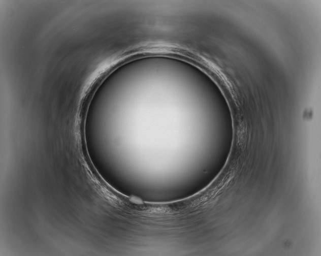 X0000101151464200806270932